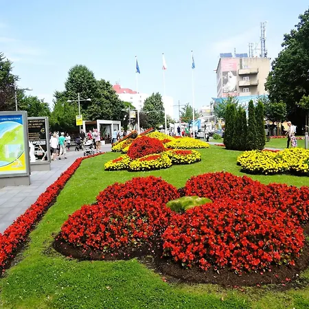 דירה Comfortable Double To The Promenade מידזיזדרויה